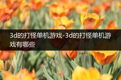 3d的打怪单机游戏-3d的打怪单机游戏有哪些