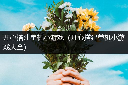 开心搭建单机小游戏（开心搭建单机小游戏大全）