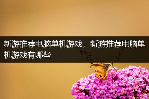 新游推荐电脑单机游戏，新游推荐电脑单机游戏有哪些