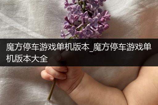 魔方停车游戏单机版本_魔方停车游戏单机版本大全