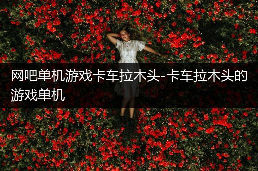 网吧单机游戏卡车拉木头-卡车拉木头的游戏单机