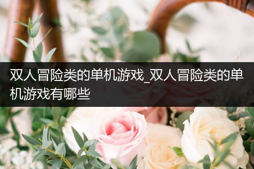 双人冒险类的单机游戏_双人冒险类的单机游戏有哪些