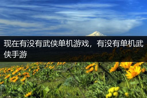 现在有没有武侠单机游戏，有没有单机武侠手游