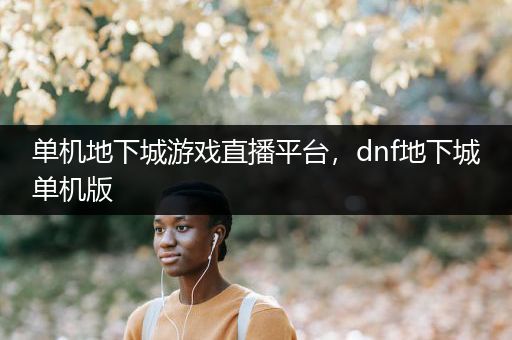 单机地下城游戏直播平台，dnf地下城单机版