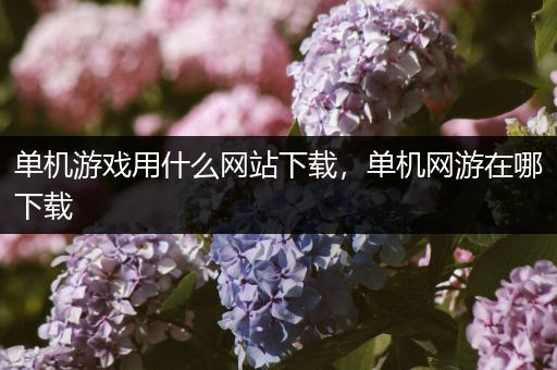 单机游戏用什么网站下载，单机网游在哪下载