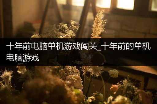十年前电脑单机游戏闯关_十年前的单机电脑游戏