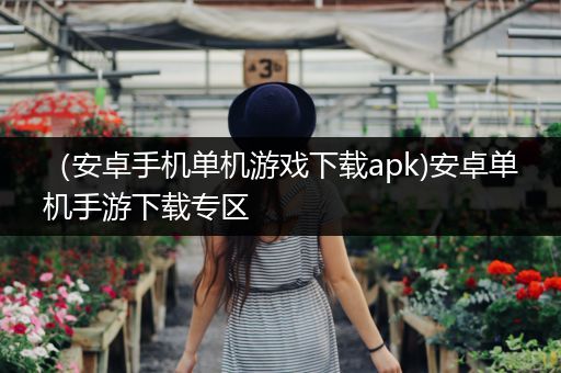 （安卓手机单机游戏下载apk)安卓单机手游下载专区