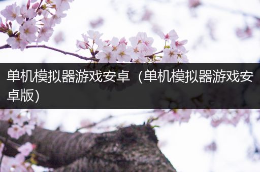 单机模拟器游戏安卓（单机模拟器游戏安卓版）