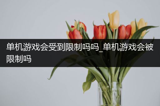 单机游戏会受到限制吗吗_单机游戏会被限制吗