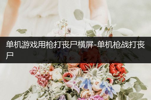 单机游戏用枪打丧尸横屏-单机枪战打丧尸