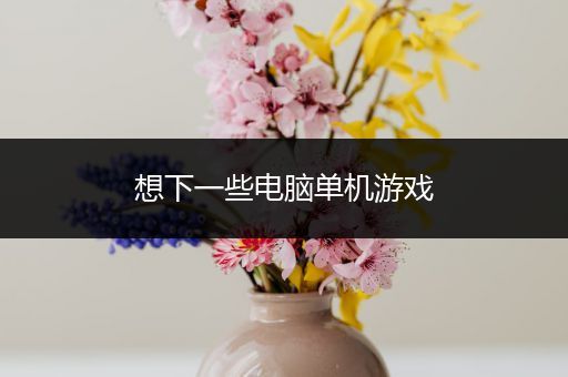 想下一些电脑单机游戏