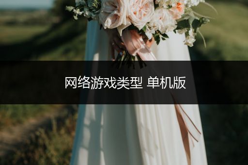 网络游戏类型 单机版