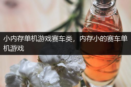 小内存单机游戏赛车类，内存小的赛车单机游戏