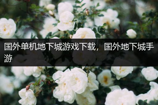 国外单机地下城游戏下载，国外地下城手游