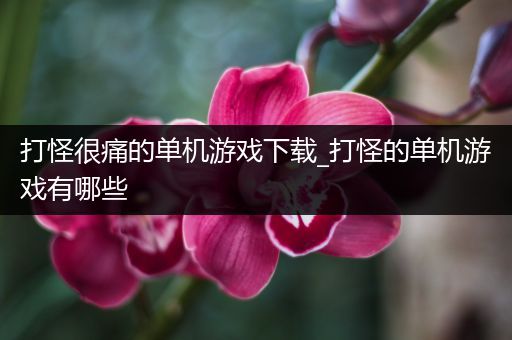 打怪很痛的单机游戏下载_打怪的单机游戏有哪些
