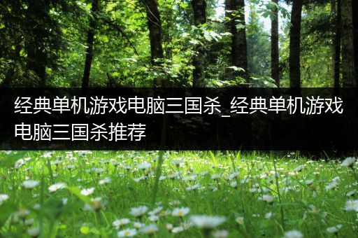 经典单机游戏电脑三国杀_经典单机游戏电脑三国杀推荐