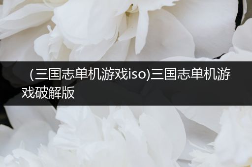 （三国志单机游戏iso)三国志单机游戏破解版