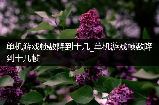 单机游戏帧数降到十几_单机游戏帧数降到十几帧