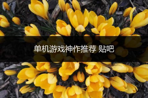 单机游戏神作推荐 贴吧