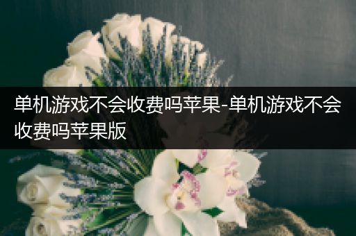 单机游戏不会收费吗苹果-单机游戏不会收费吗苹果版