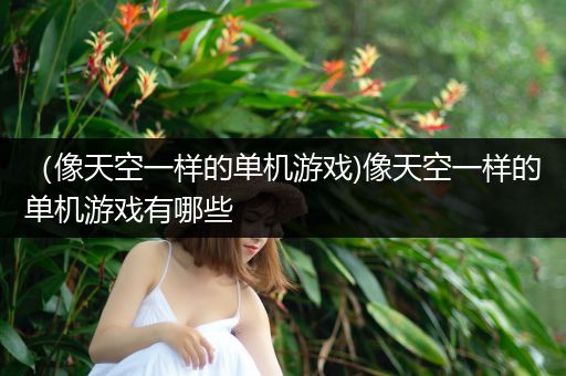 （像天空一样的单机游戏)像天空一样的单机游戏有哪些