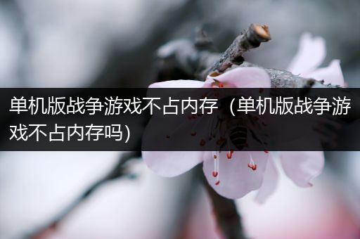 单机版战争游戏不占内存（单机版战争游戏不占内存吗）