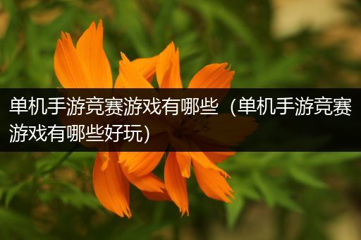 单机手游竞赛游戏有哪些（单机手游竞赛游戏有哪些好玩）