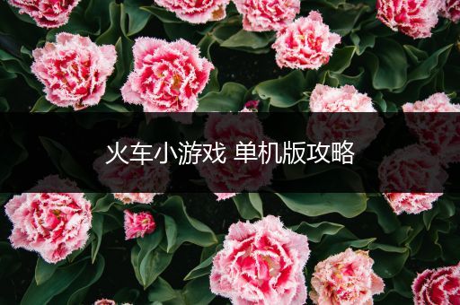 火车小游戏 单机版攻略
