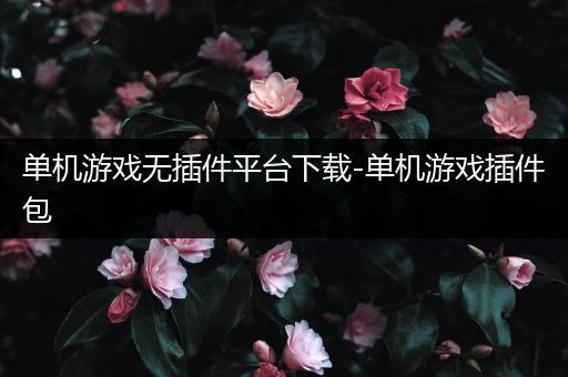 单机游戏无插件平台下载-单机游戏插件包