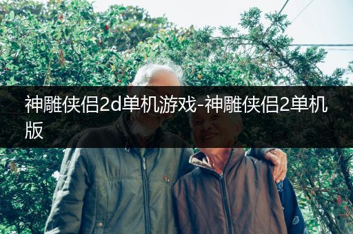 神雕侠侣2d单机游戏-神雕侠侣2单机版
