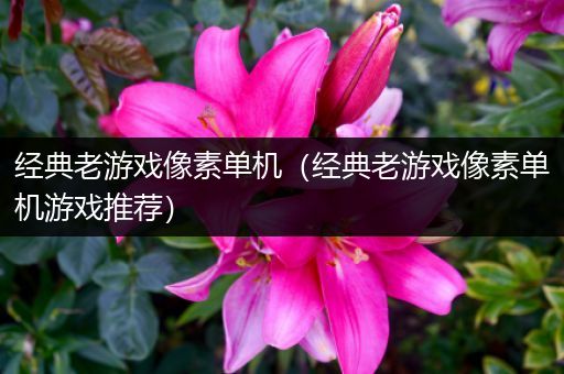 经典老游戏像素单机（经典老游戏像素单机游戏推荐）