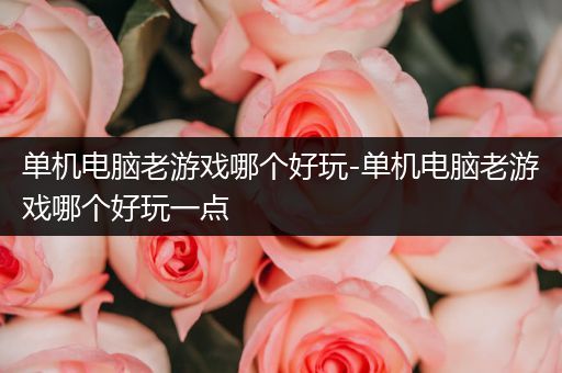 单机电脑老游戏哪个好玩-单机电脑老游戏哪个好玩一点