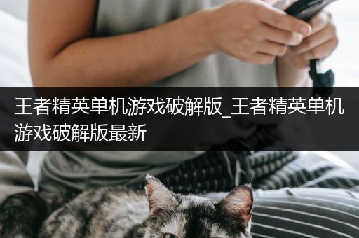 王者精英单机游戏破解版_王者精英单机游戏破解版最新