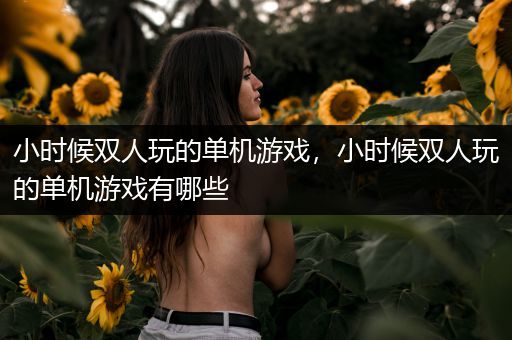 小时候双人玩的单机游戏，小时候双人玩的单机游戏有哪些