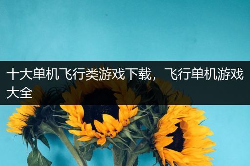 十大单机飞行类游戏下载，飞行单机游戏大全