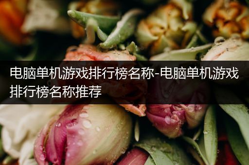 电脑单机游戏排行榜名称-电脑单机游戏排行榜名称推荐