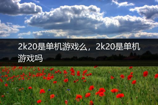 2k20是单机游戏么，2k20是单机游戏吗