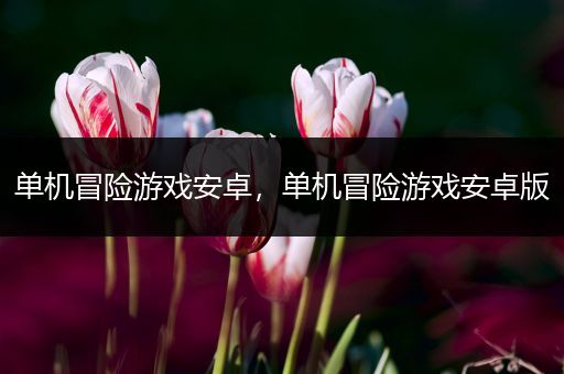 单机冒险游戏安卓，单机冒险游戏安卓版