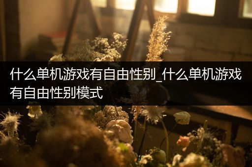 什么单机游戏有自由性别_什么单机游戏有自由性别模式
