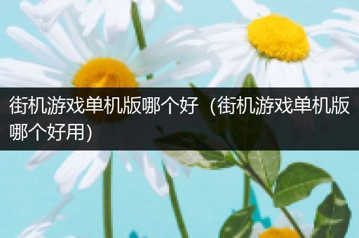 街机游戏单机版哪个好（街机游戏单机版哪个好用）