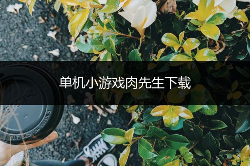 单机小游戏肉先生下载