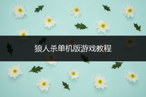 狼人杀单机版游戏教程
