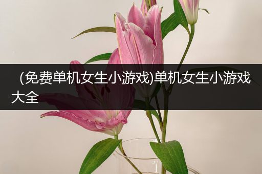 （免费单机女生小游戏)单机女生小游戏大全