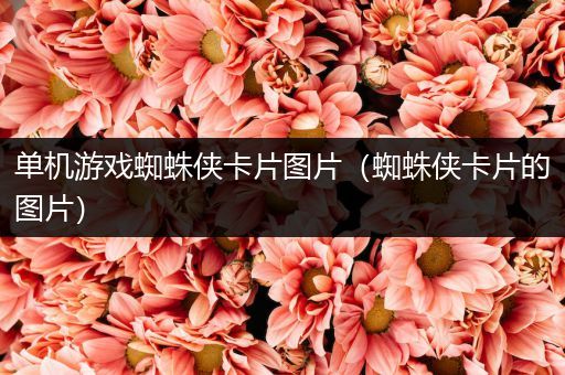 单机游戏蜘蛛侠卡片图片（蜘蛛侠卡片的图片）