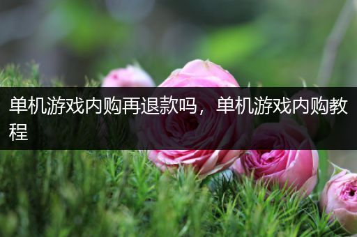 单机游戏内购再退款吗，单机游戏内购教程