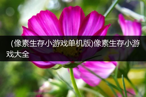 （像素生存小游戏单机版)像素生存小游戏大全