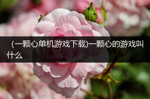 （一颗心单机游戏下载)一颗心的游戏叫什么