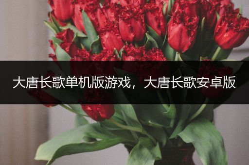 大唐长歌单机版游戏，大唐长歌安卓版