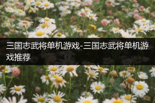 三国志武将单机游戏-三国志武将单机游戏推荐
