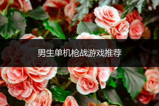 男生单机枪战游戏推荐